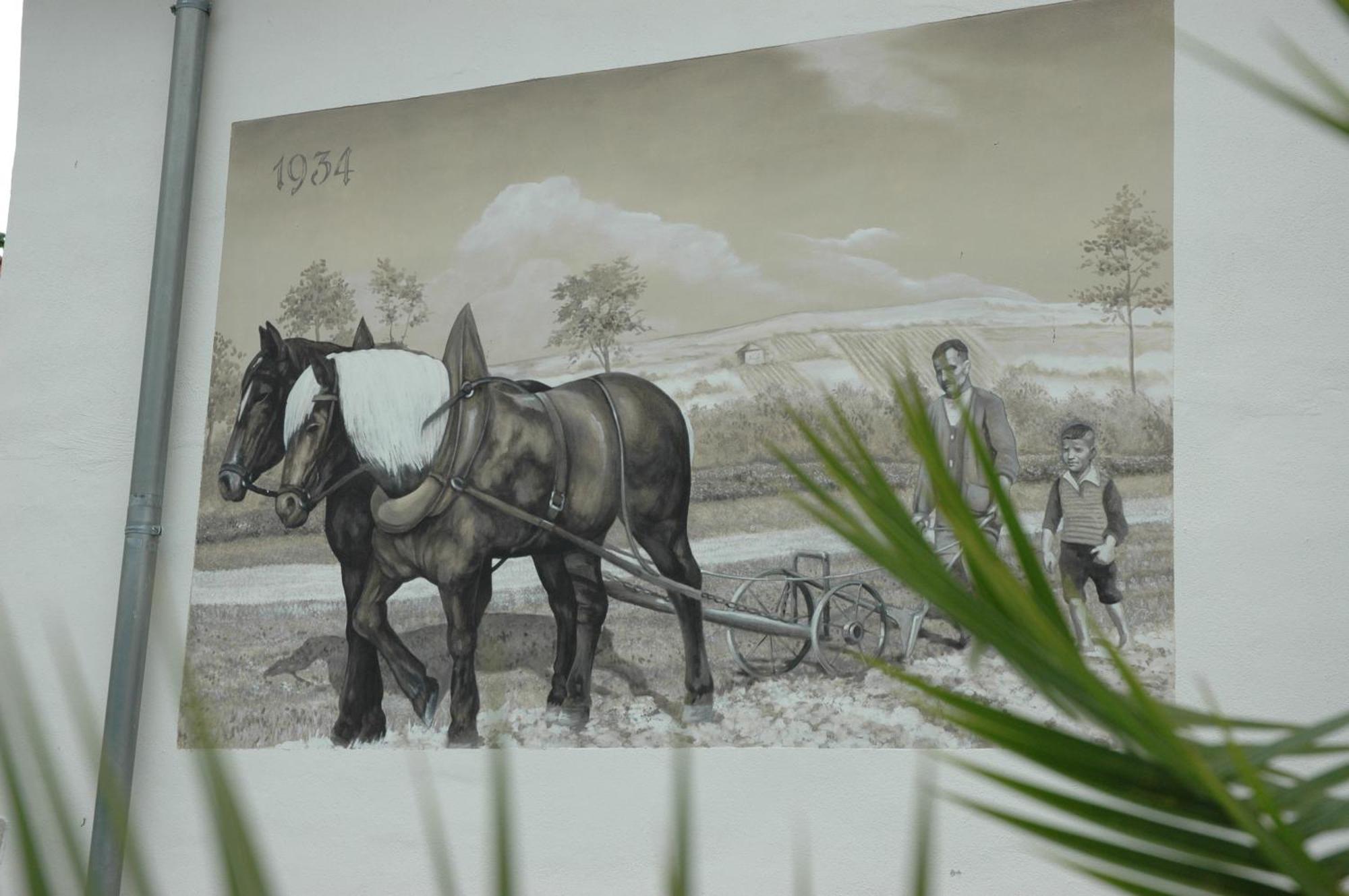 Apartmenthaus Schlag เนาม์บวร์ก ภายนอก รูปภาพ