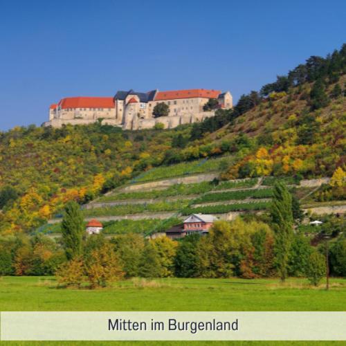 Apartmenthaus Schlag เนาม์บวร์ก ภายนอก รูปภาพ